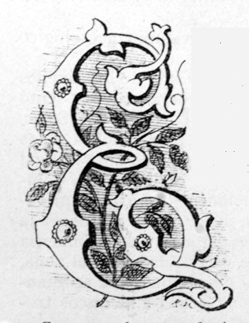letra capital «e» flores