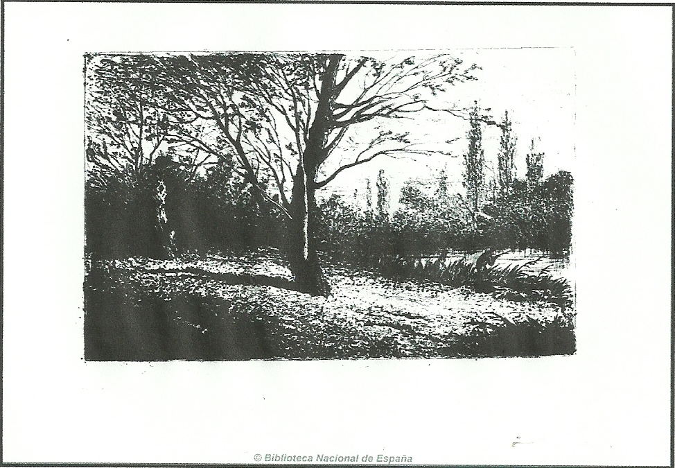 estudio de paisaje don dos arboles