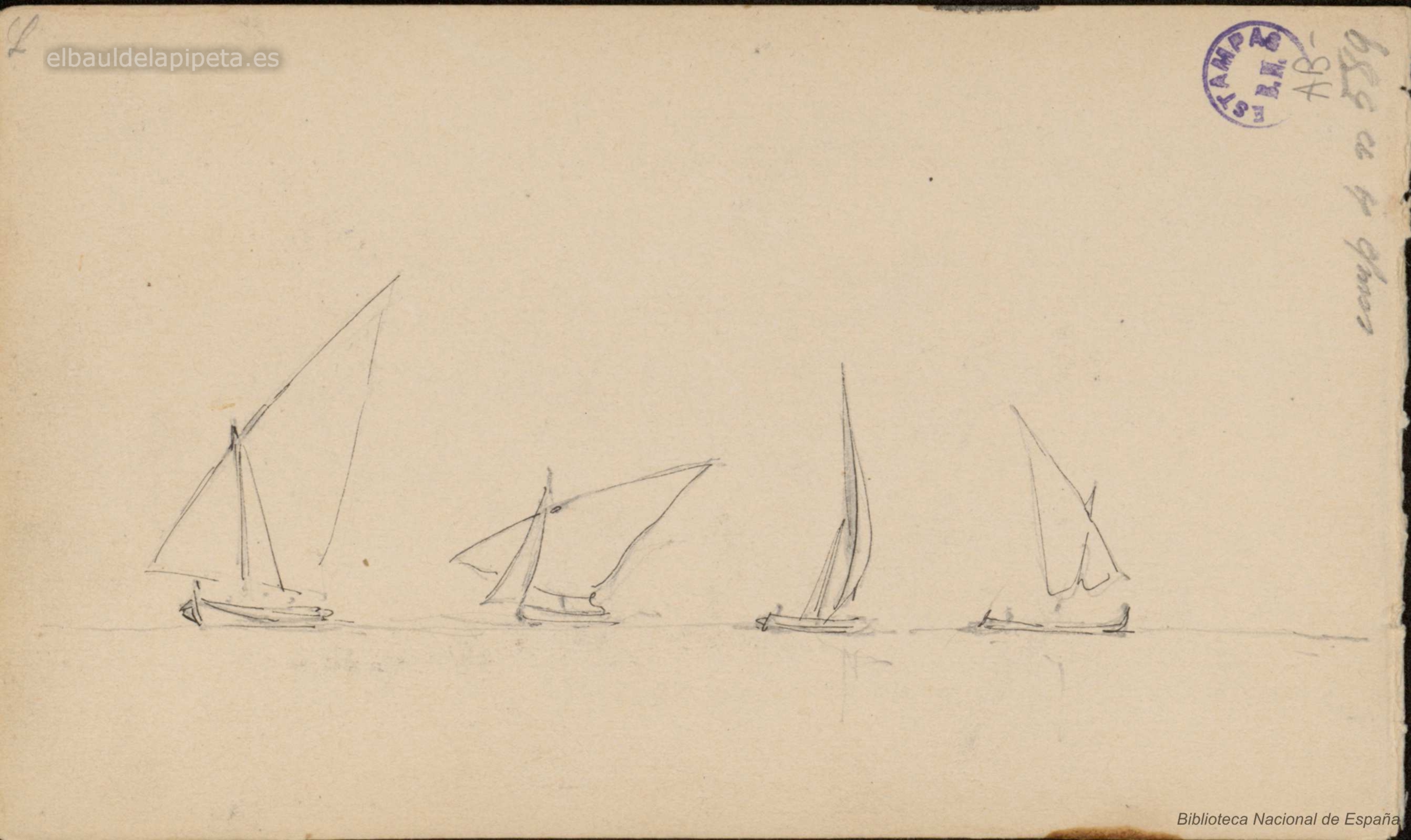 barcas de bou (cara)