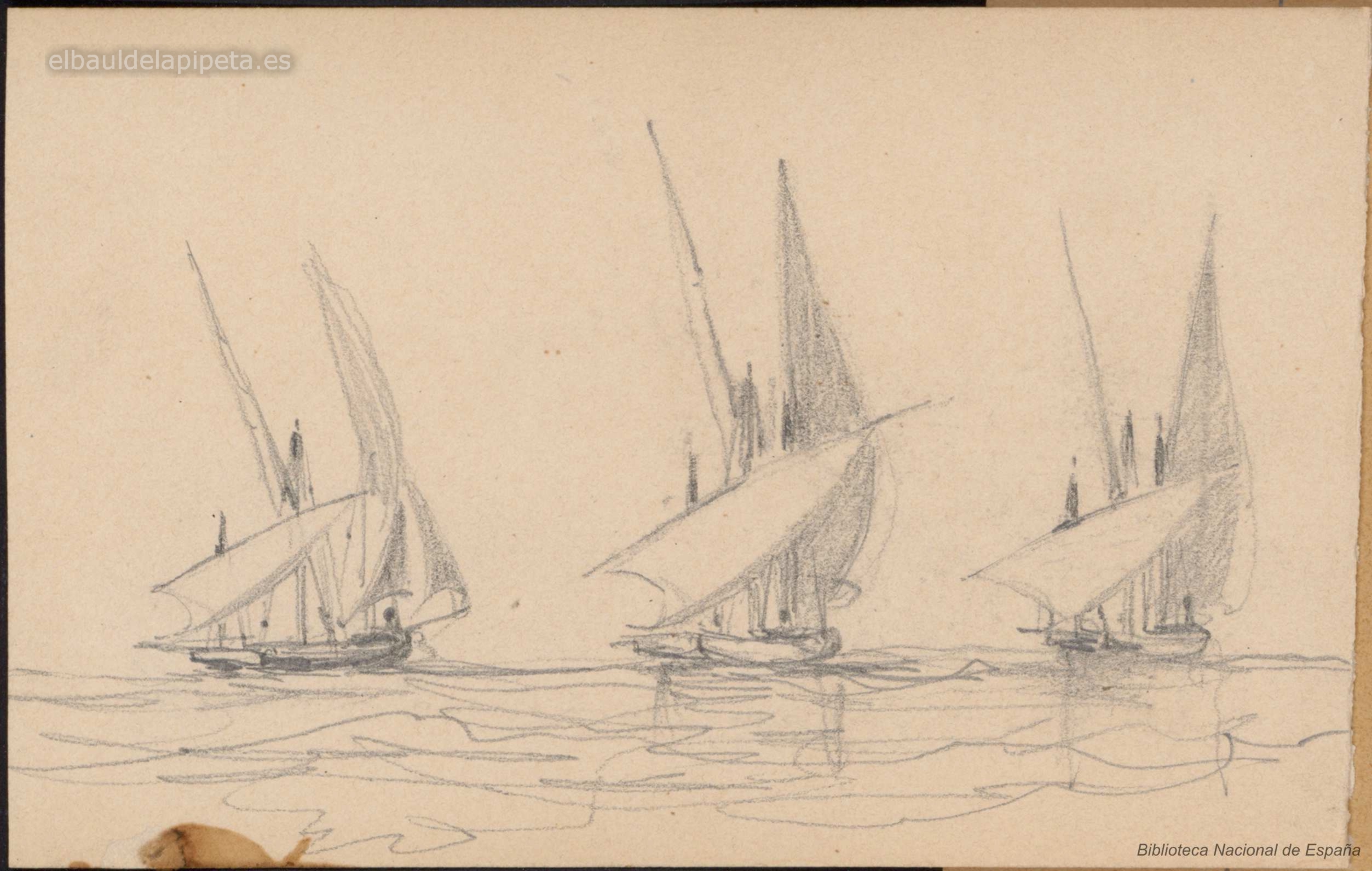 barcas