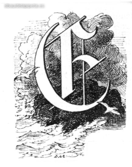 letra capital «e»entre gaviotas