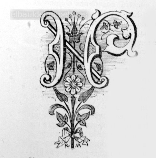 letra capital «n» flores