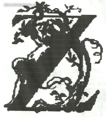 letra capital «z» letra con flores