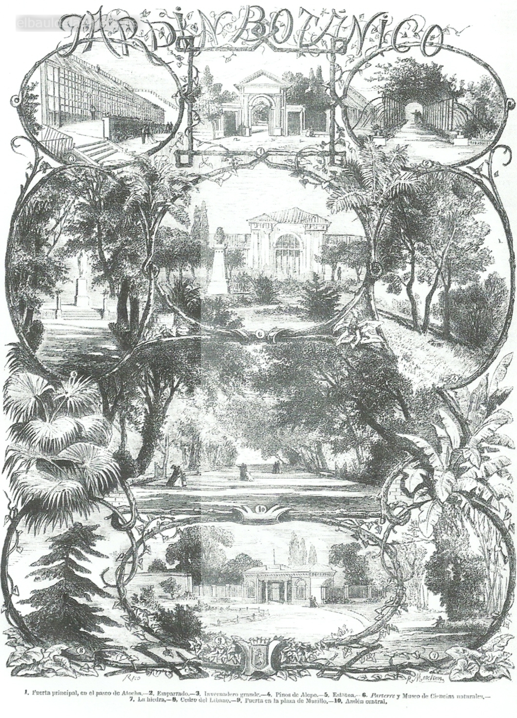 jardÍn botÁnico de madrid