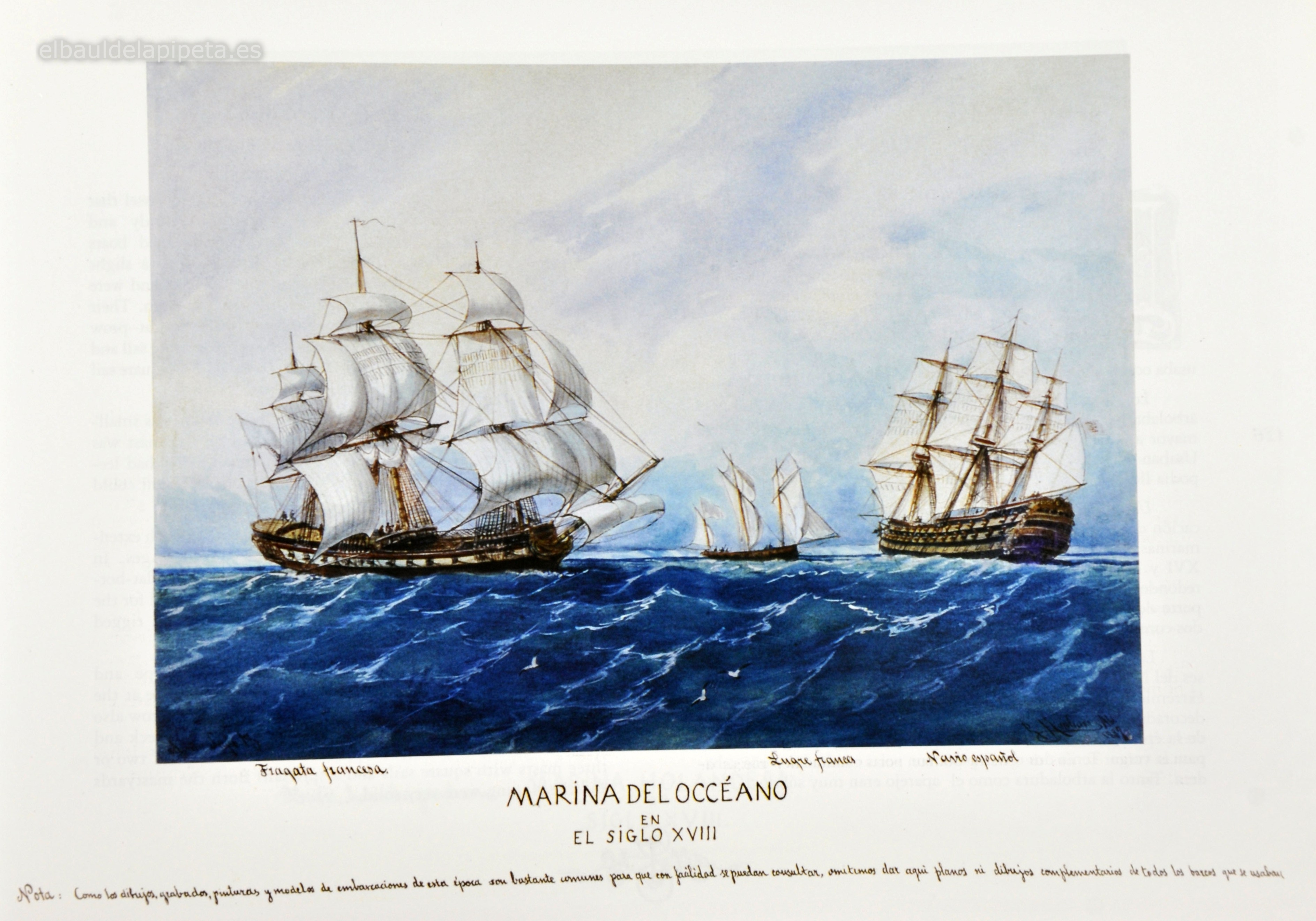 marina del oceano en el siglo xviii