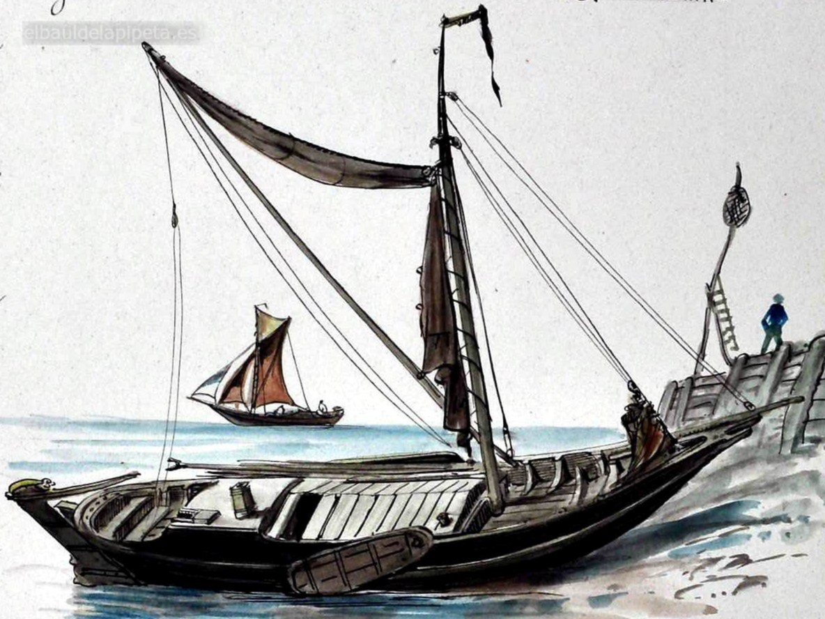hoogeer