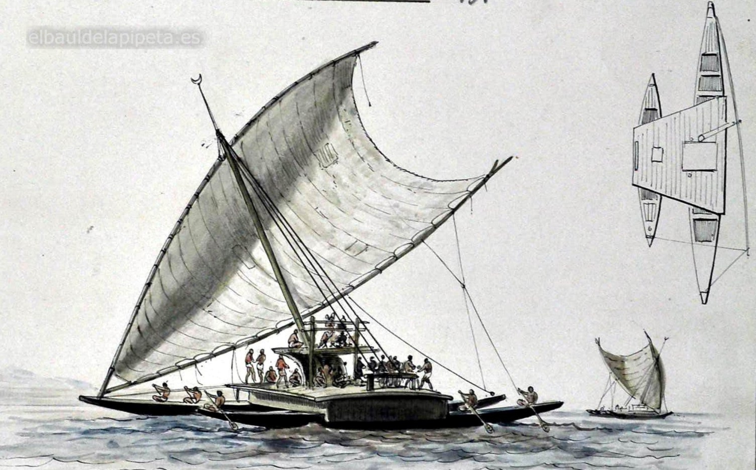 halia o calia