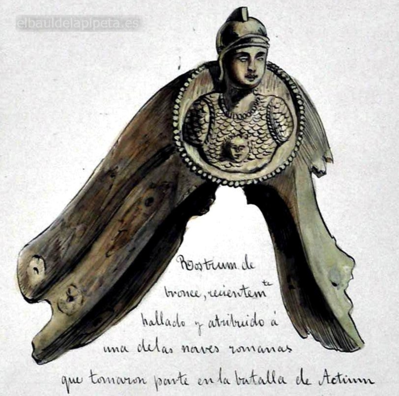 rostrum