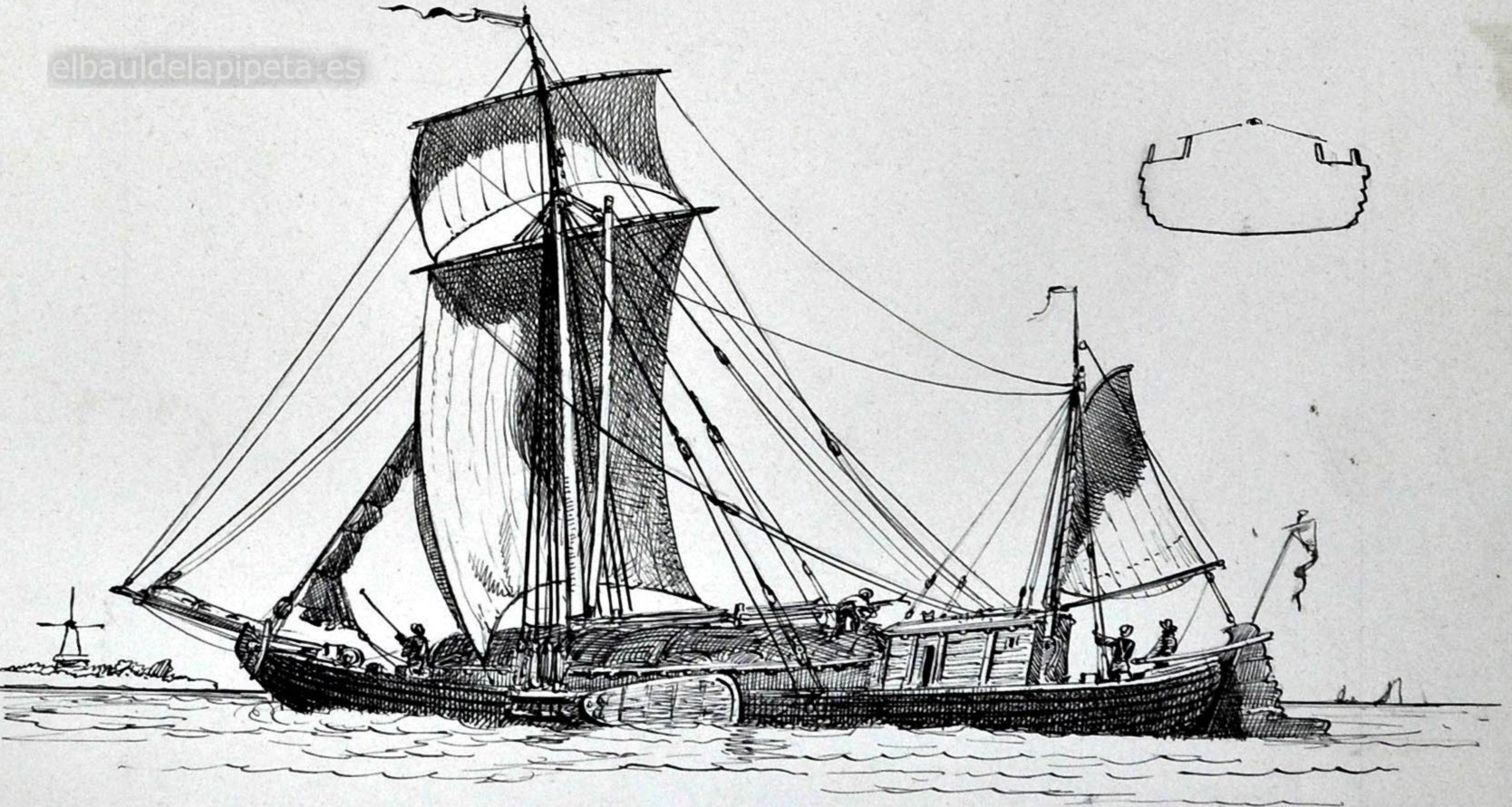 sammereus