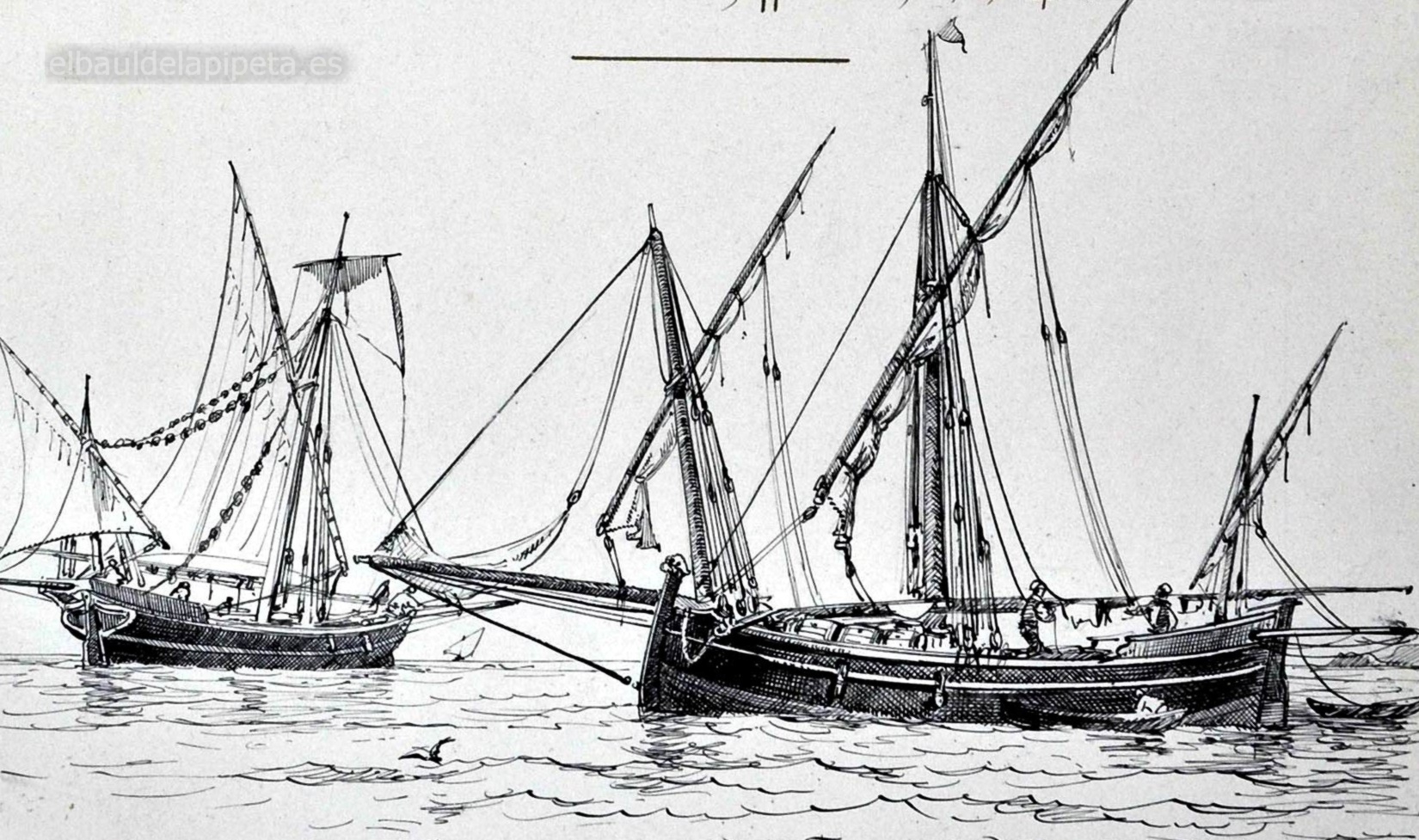 schifazzo